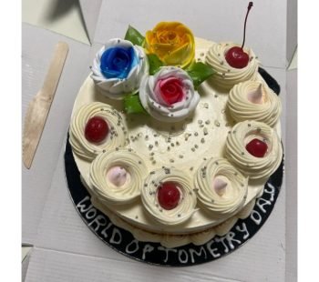 Optometry Day (11)